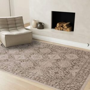 Kalora Sawyer Y787-EC23 Plush Area Rug | Soft Neutral Polyester Rug