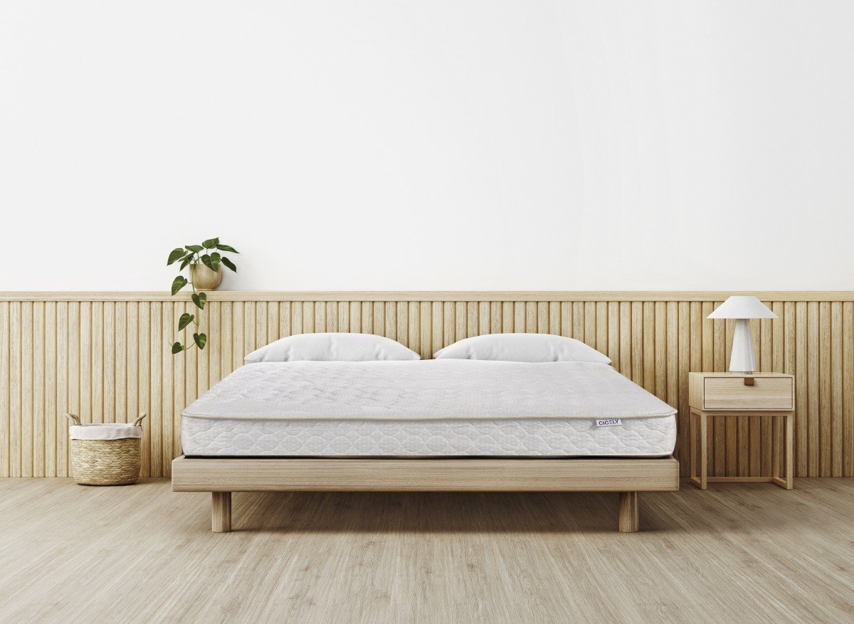 DreamRest 6.5 inch Twin Mattress - Infinity Furniture
